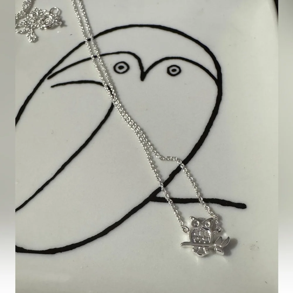Silver Owl Pendant Necklace + Picasso Trinket Tray
